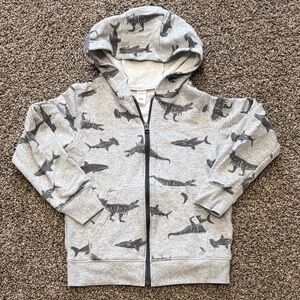 Carter's Gray Dino Adventure Hoodie